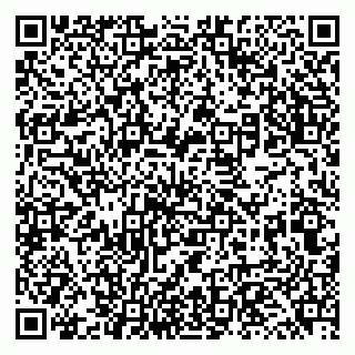 vCard 79131146889