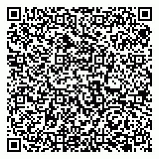 vCard 79131146895