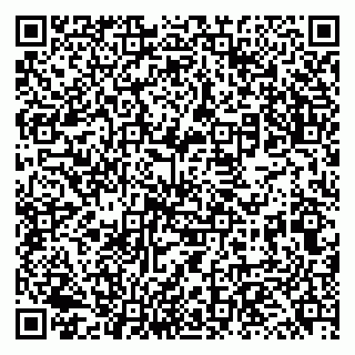 vCard 79131146897