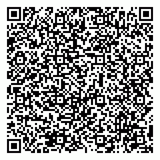 vCard 79131146898