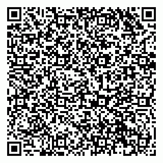 vCard 79131146899
