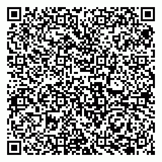 vCard 79131147005