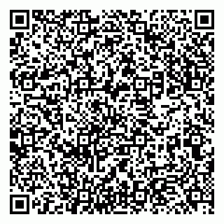 vCard 79131147331