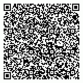 vCard 79131147741