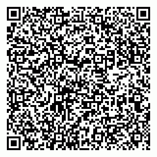 vCard 79131149032