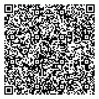 vCard 79131149211
