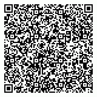 vCard 79131149331