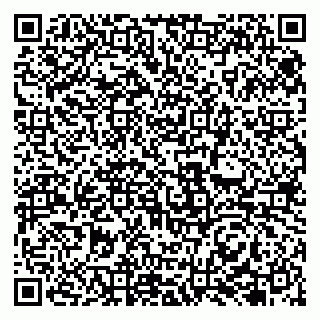 vCard 79131149385