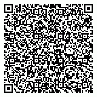 vCard 79131149489