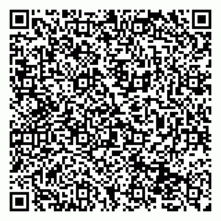 vCard 79131150004