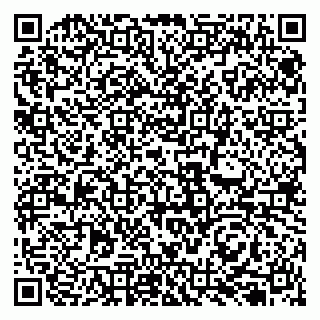 vCard 79131150217