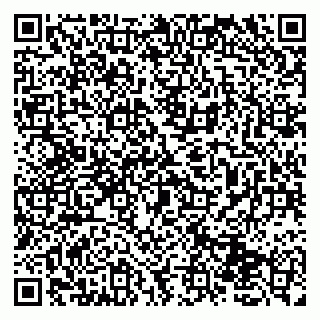vCard 79131150331