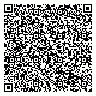 vCard 79131151024
