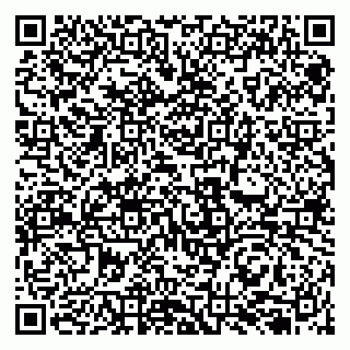 vCard 79131152001