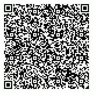 vCard 79131152002