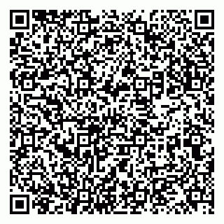 vCard 79131152003