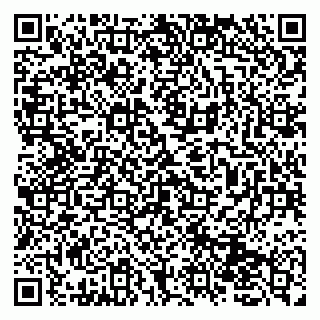 vCard 79131152004