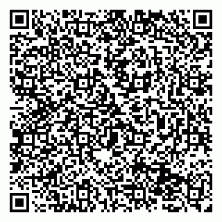 vCard 79131152010