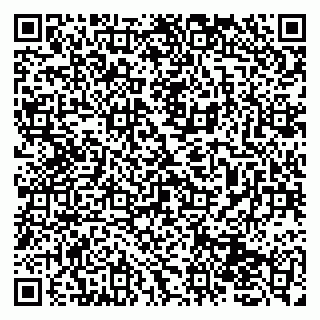 vCard 79131152011