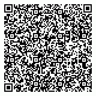 vCard 79131152017