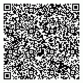 vCard 79131152020