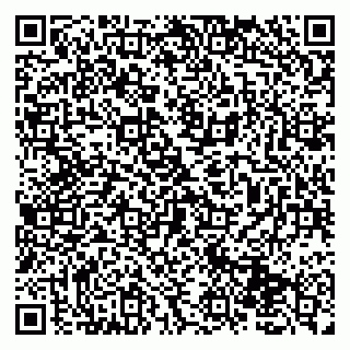 vCard 79131152385