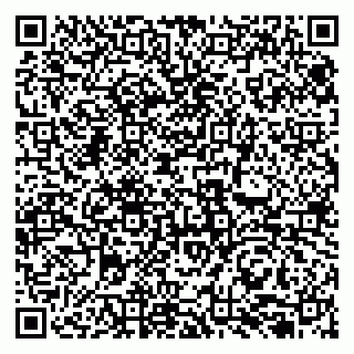 vCard 79131152575