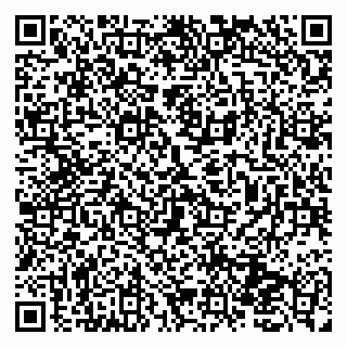 vCard 79131152995