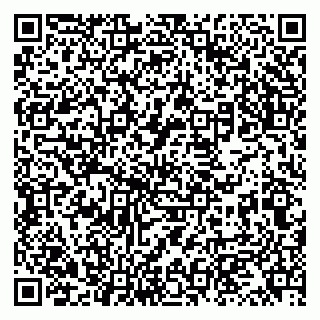 vCard 79131153085