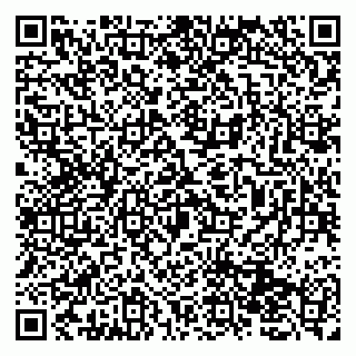 vCard 79131153095