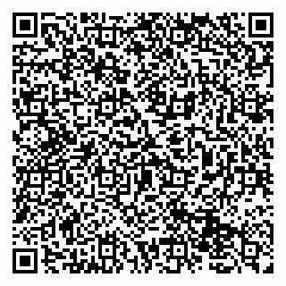vCard 79131153262