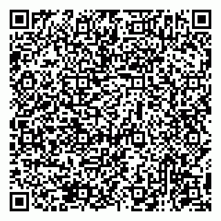 vCard 79131153294