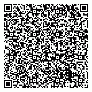 vCard 79131153301