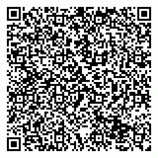 vCard 79131153333