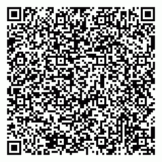 vCard 79131153345