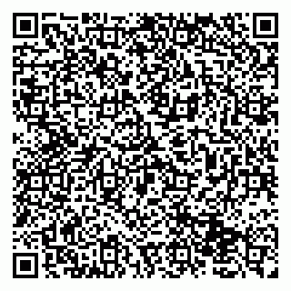 vCard 79131153370