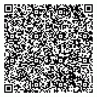 vCard 79131153404