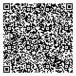 vCard 79131153530