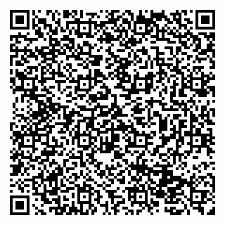 vCard 79131153571