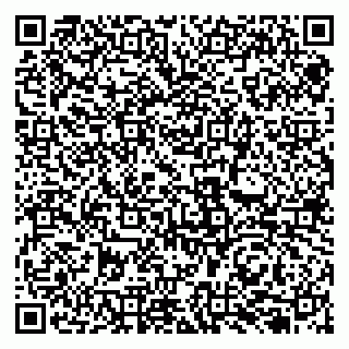 vCard 79131154875