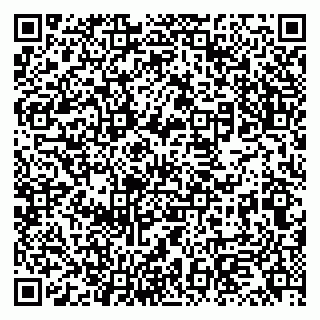 vCard 79131155331