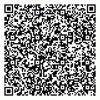 vCard 79131155366