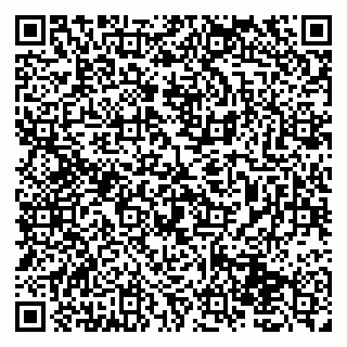 vCard 79131155389