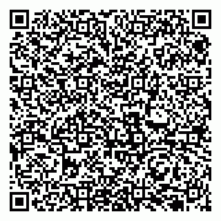 vCard 79131156017