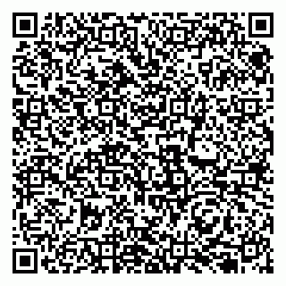 vCard 79131156294