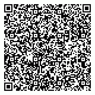 vCard 79131156331