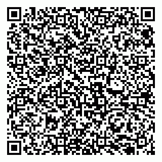 vCard 79131156540
