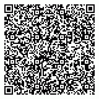 vCard 79131157294