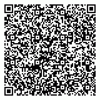 vCard 79131157334