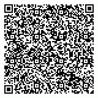 vCard 79131158024